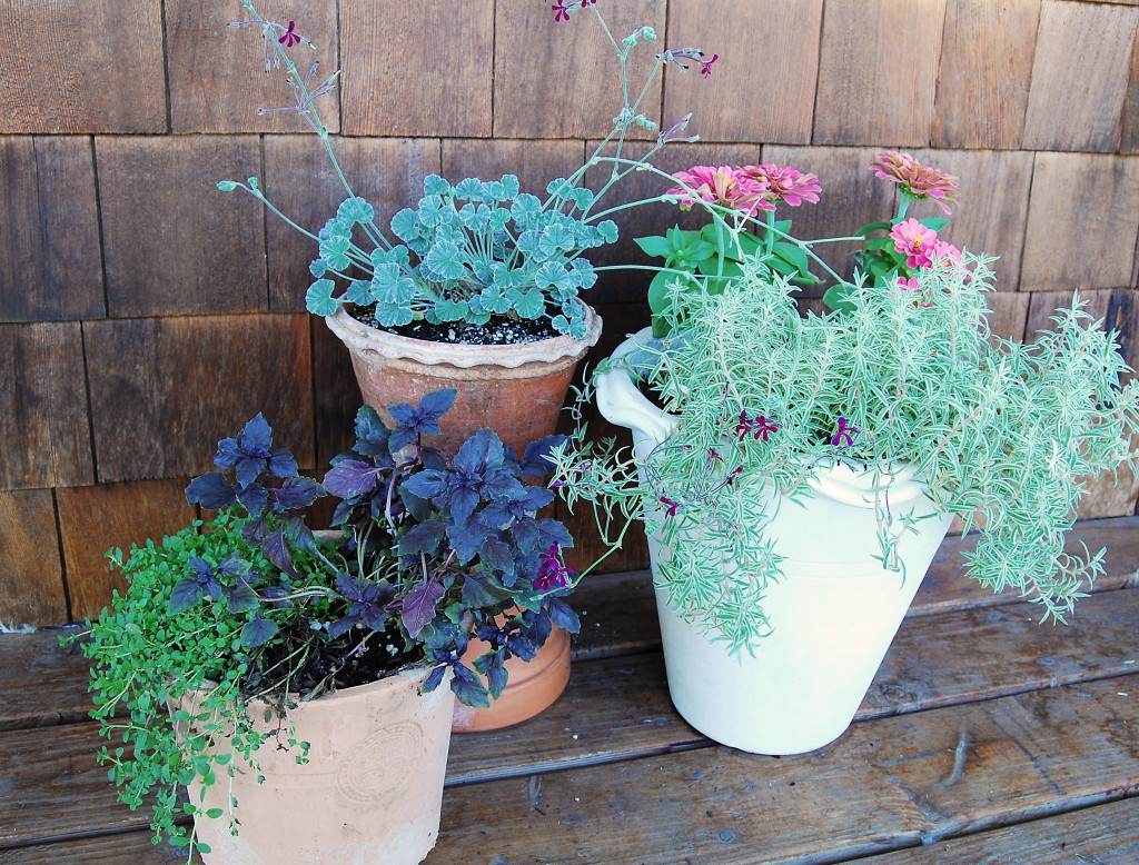 container garden