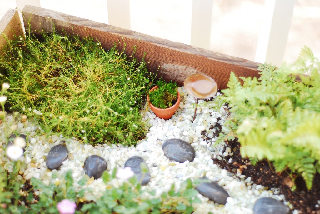 fairy garden 1